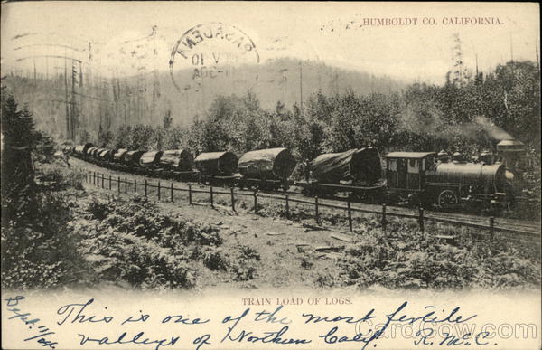 Train Load of Logs Humboldt California