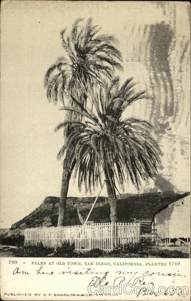 Palms at Old Town, Planted 1769 San Diego California