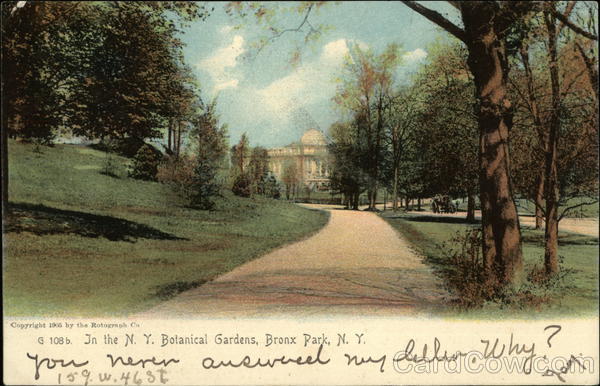 In the N.Y. Botanical Gardens, Bronx Park New York