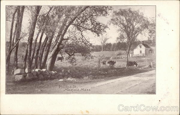 Phillips St. Medfield Massachusetts