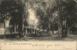 The maplewood The maplewood