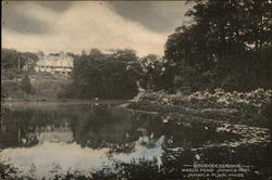 Rhododendrons, Wards Pond, Jamaica Park Postcard