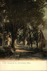 Stock #493519 Thumbnail