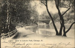 View in Lincoln Park Postcard