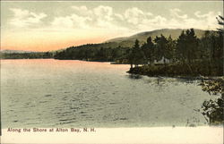 Along the Shore at Alton Bay New Hampshire Postcard Postcard Postcard