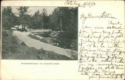 Jackson Park Postcard