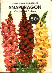 Spring Hill Nurseries; Snapdragon Seed Packet Spring Hill Nurseries; Snapdragon Seed Packet