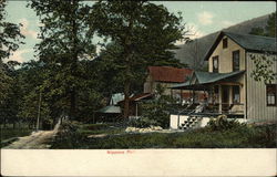 View of Homes, Nippono Park Jersey Shore, PA Postcard Postcard Postcard