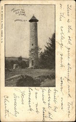 The Tower and Old Pine Stump Postcard