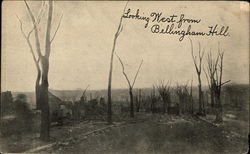 Looking West From Bellingham Hill Postcard