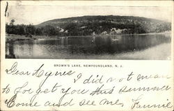 Brown's Lake Postcard
