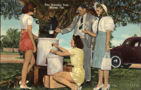 The Artesian Tree Miami Florida