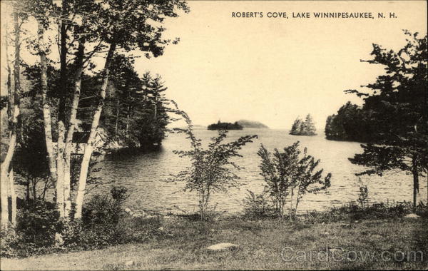Robert's Cove Lake Winnipesaukee New Hampshire