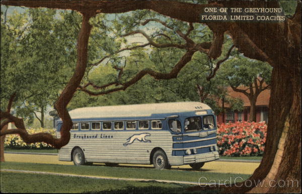 Greyhound Florida Limited Coach Buses