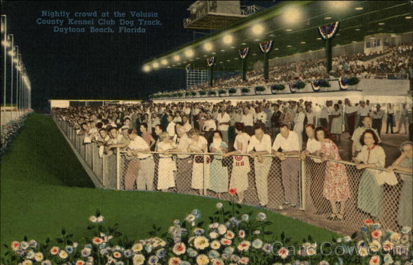 Volusia County Kennel Club Dog Track Daytona Beach Florida
