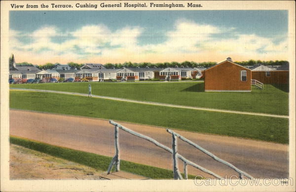 View from the Terrace, Cushing General Hospital Framingham Massachusetts