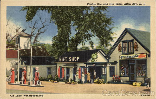 Reptile Zoo and Gift Shop, Gas Station Alton Bay New Hampshire