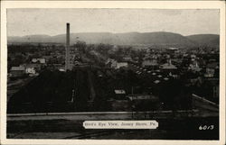 Bird's Eye View Jersey Shore, PA Postcard Postcard Postcard