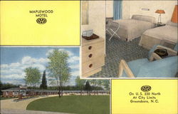 Maplewood Motel Greensboro, NC Postcard Postcard Postcard