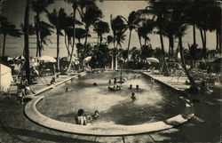 Cromwell Hotel Miami Beach, FL Postcard Postcard Postcard