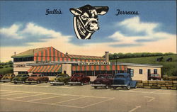 Gallo's Terraces Newington, CT Postcard Postcard Postcard