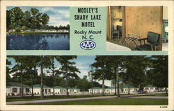 Mosley's Shady Lake Motel Rocky Mount, NC Postcard Postcard Postcard