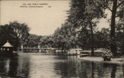The Lake Public Gardens Postcard