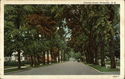 Charles Street Rochester, NH Postcard Postcard Postcard