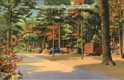 Public Camp Grounds Bar Harbor, ME Postcard Postcard Postcard