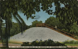 The Famous Shell Mound on the Southside St. Petersburg, FL Postcard Postcard Postcard