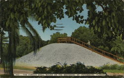 The Famous Shell Mound on the Southside The Famous Shell Mound on the Southside