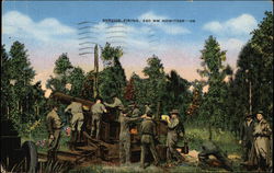 Service Firing, 240 mm Howitzer Service Firing, 240 mm Howitzer