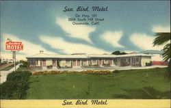 Sea Bird Motel Oceanside, CA Postcard Postcard Postcard