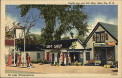 Reptile Zoo and Gift Shop, Gas Station Alton Bay, NH Postcard Postcard Postcard