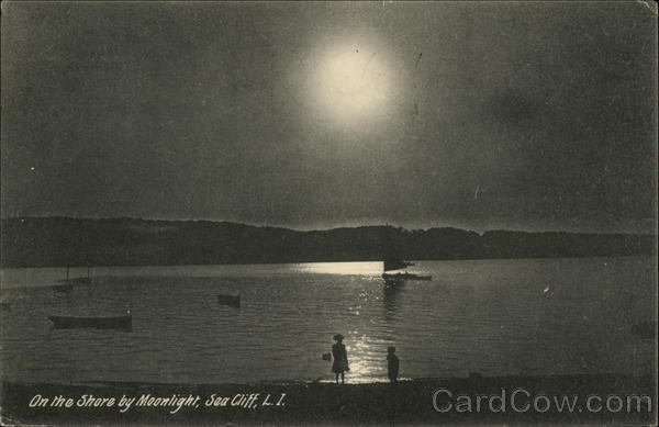 On the Shore by Moonlight Sea Cliff New York