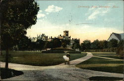 University Park University Park