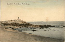 Blue Fish Rock Postcard