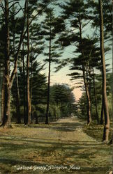 Island Grove Abington, MA Postcard Postcard Postcard