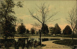 View in Whitman Park Postcard