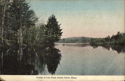 Lily Pond Postcard