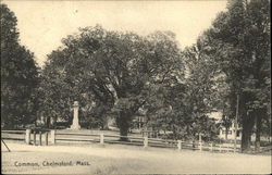 View of Common Postcard