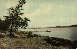 Along the Shore at Queen City Park Burlington, VT Postcard Postcard Postcard