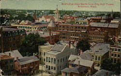 Bird's-Eye View North From City Hall Tower Postcard
