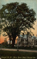 Mary Baker Eddy's Favorite Elm Mary Baker Eddy's Favorite Elm