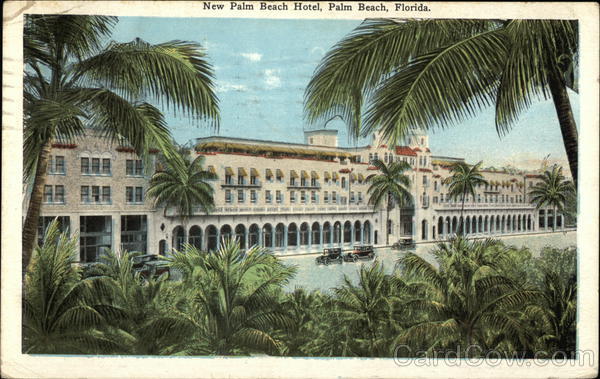 New Palm Beach Hotel Florida Postcard