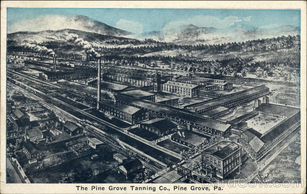 The Pine Grove Tanning Co. Pennsylvania