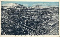 The Pine Grove Tanning Co. Pennsylvania Postcard Postcard Postcard
