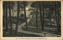 In the Grove, Kingsley Park, Fresh Pond Postcard