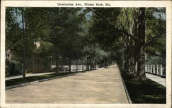 Interlachen Avenue Winter Park, FL Postcard Postcard Postcard
