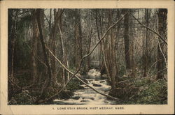 Lone Star Brook Postcard